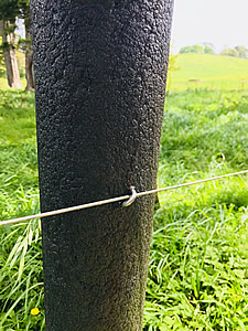 products_fence_post_staple_slice_cut_staple.jpg